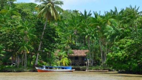 Amazonien: Acht-Länder-Gipfel in Brasilien