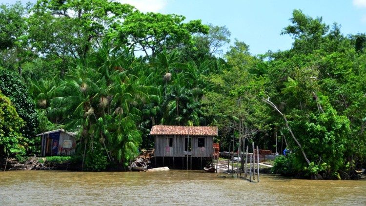 COP30 acontece em Belém, em novembro