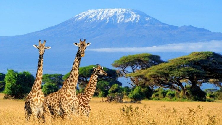 Askofu mkuu Dallu: Ushirika na Utunzaji Bora wa Mazingira nyumba ya wote