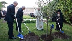 Цырымонія пасадкі аліўкавага дрэва з удзелам Францішка, Барталамея I, Шымона Перэса і Махмуда Абаса , 8 чэрвеня 2014 года