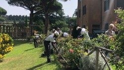 Arhivă: activități de îngrijire a mediului înconjurător în spiritul enciclicei Laudato Si