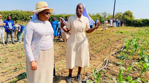 Des sœurs en Zambie font de l’agriculture respectueuse de l’environnement