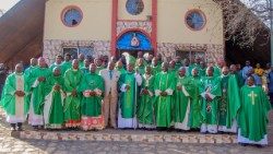 Bishops of Northern Nigeria with other priests